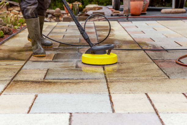 Best Gutter Cleaning  in New Brighton, MN